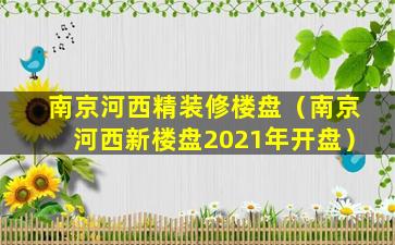 南京河西精装修楼盘（南京河西新楼盘2021年开盘）